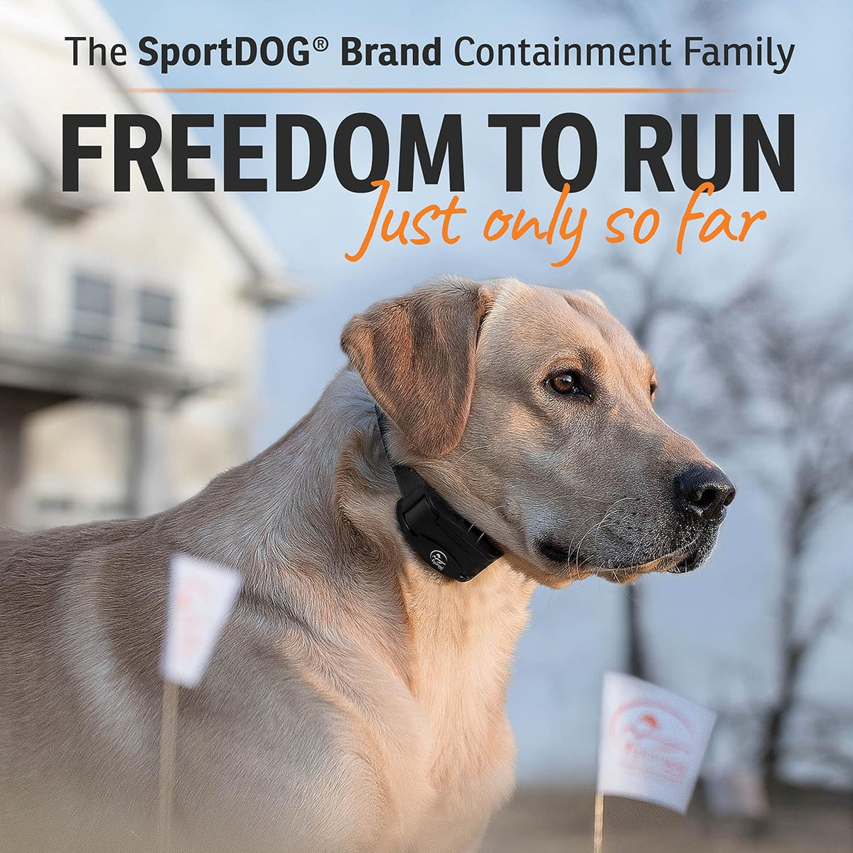 SportDOG Brand Rechargeable In-Ground Fence System - Waterproof, Rechargeable Collar with Tone