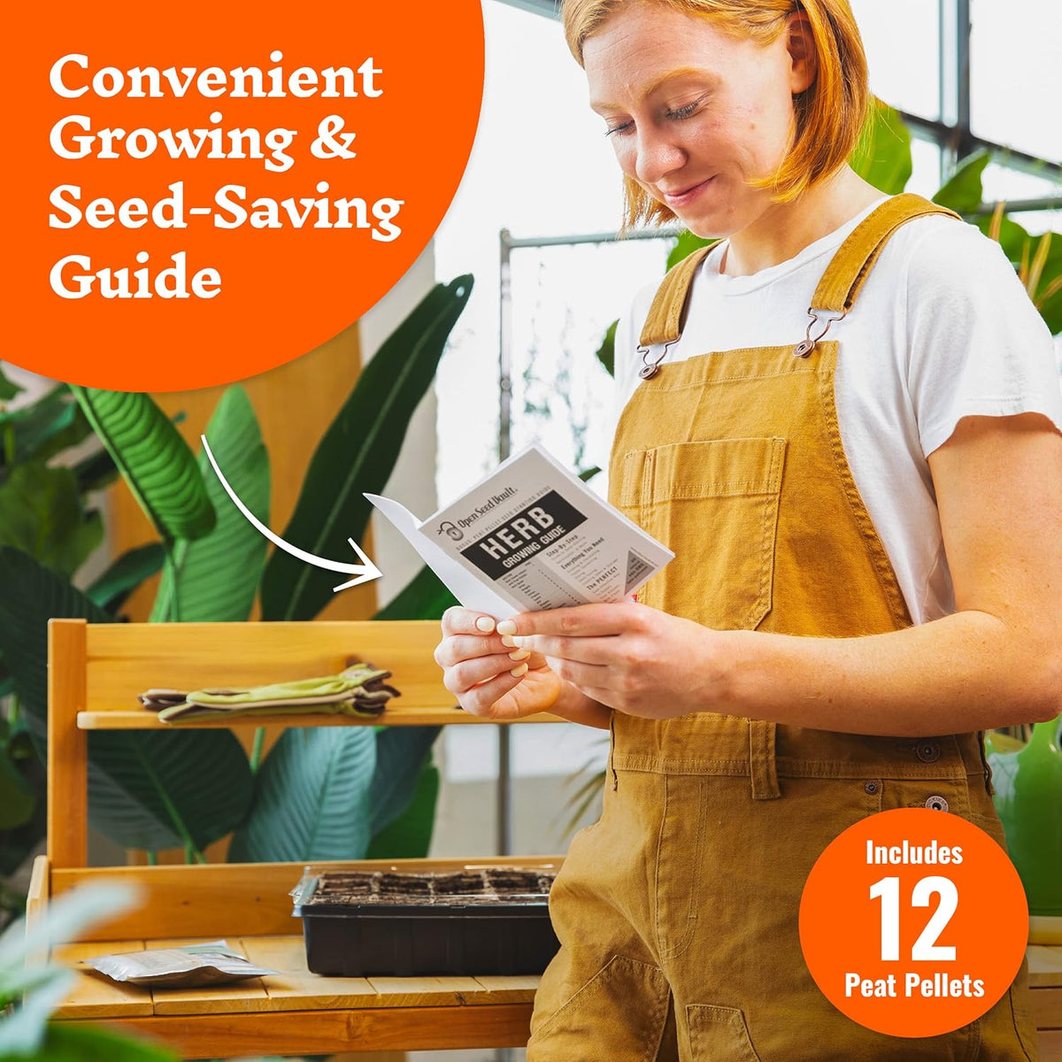 Open Seed Vault 4,000 Non GMO Heirloom Vegetable Seeds for Planting Vegetables and Fruits - 12