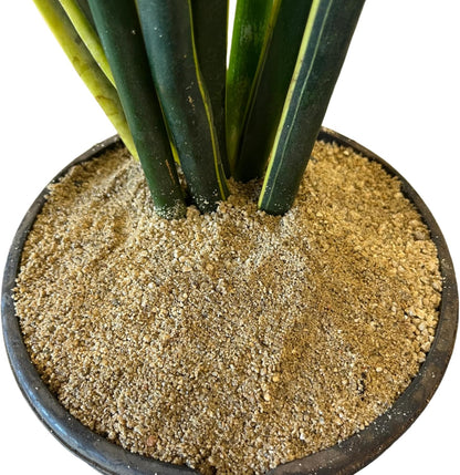 Washed Natural Sand – Coarse or Fine Grain Sand for Plants, Gardening, Crafts, Terrariums & Play
