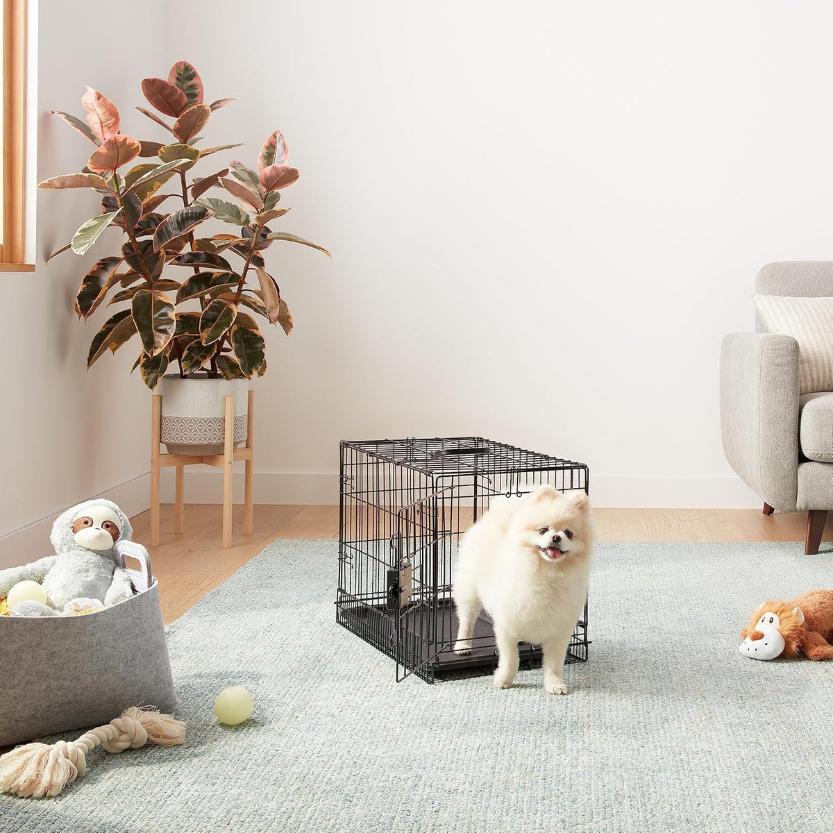 Amazon Basics Durable, Foldable Metal Wire Pet Crate with Tray, Portable and Sturdy for Travel