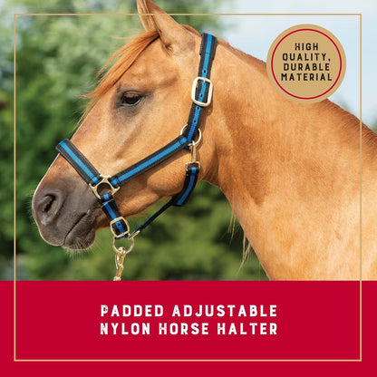 Weaver Leather Nylon Horse Halter, Padded and Adjustable, Chin and Throat Snap Hook Halters for