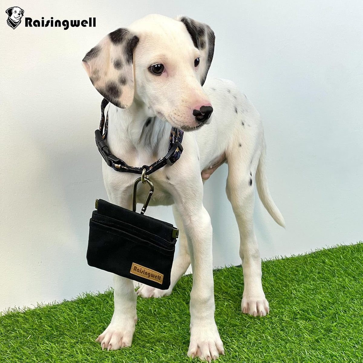Dog Treat Pouch, Black Pocket Sized Pet Training Pouch, Cotton Fabric, Hand Free Dog Walking Bag