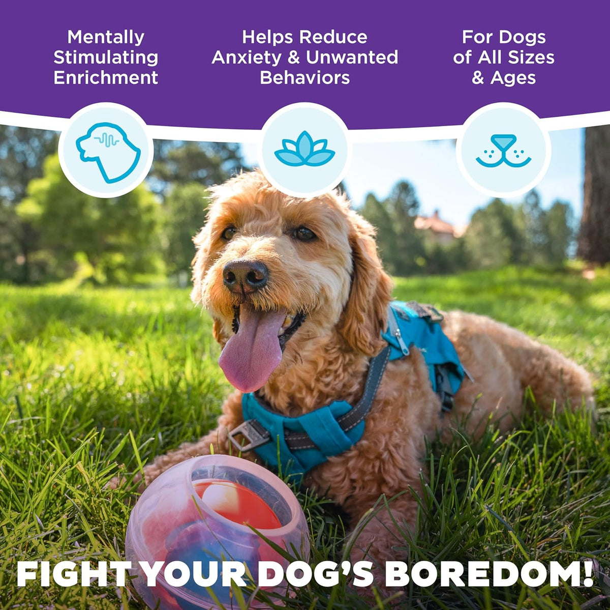 Outward Hound Nina Ottosson Topsy Treat Ball Dog Puzzle Interactive Treat Puzzle Dog Enrichment Dog