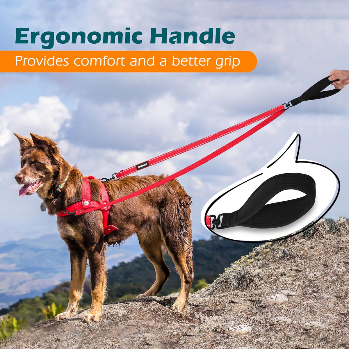 PetBonus Two Point Control Dog Leash, Works with No Pull Harnesses, No Tangle Dog Training Leashes