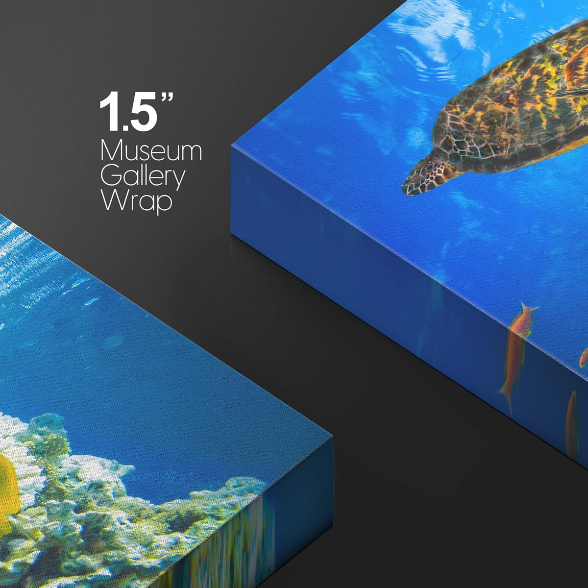 wall26 Canvas Print Wall Art Vibrant Neon Underwater Turtle, Reef & Fish Nature Animals Photography