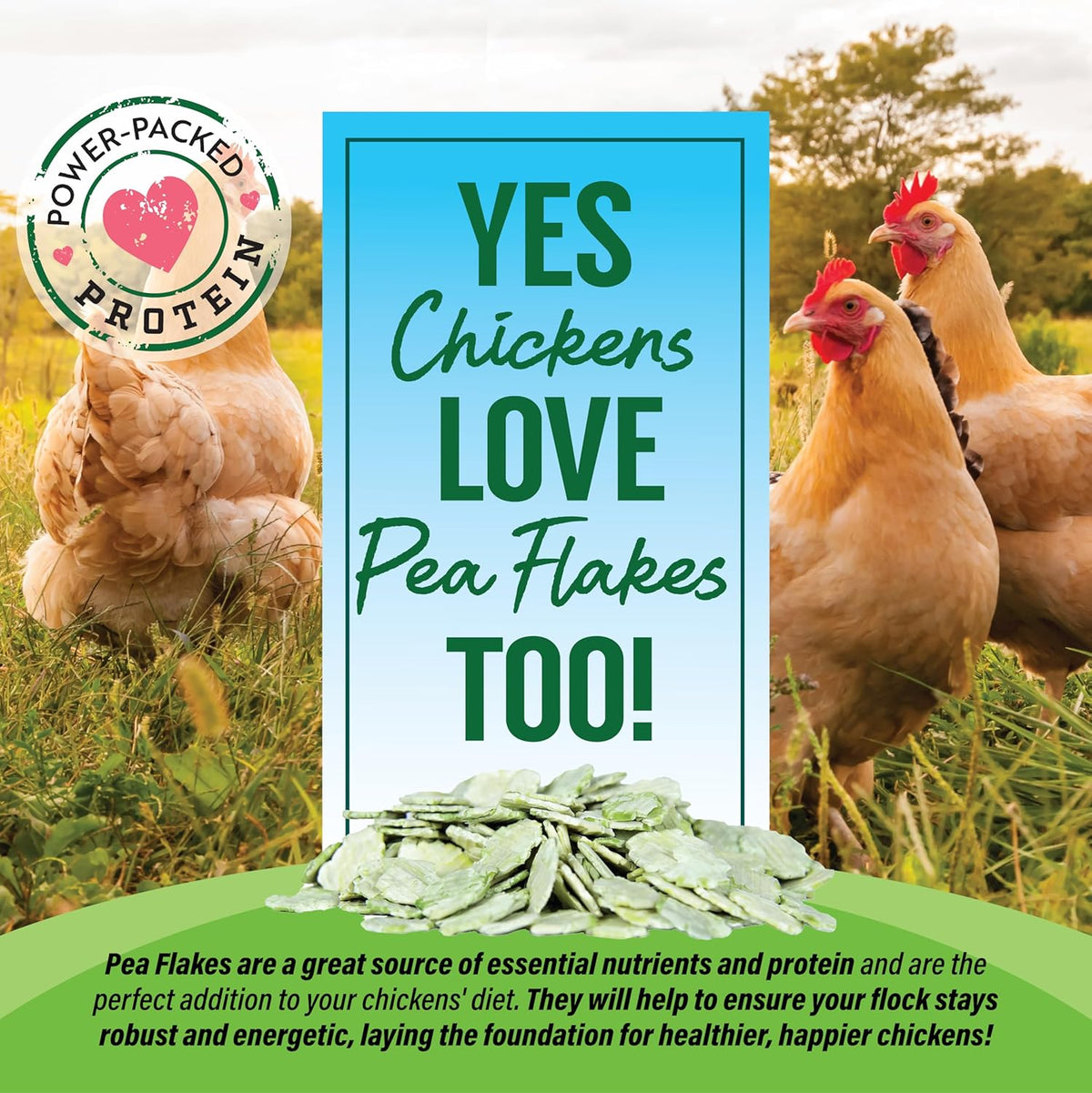 Small Pet Select - Pea Flakes, Treats for Rabbit Bunny, Guinea Pig, Chickens, Bunny, Hamster, and