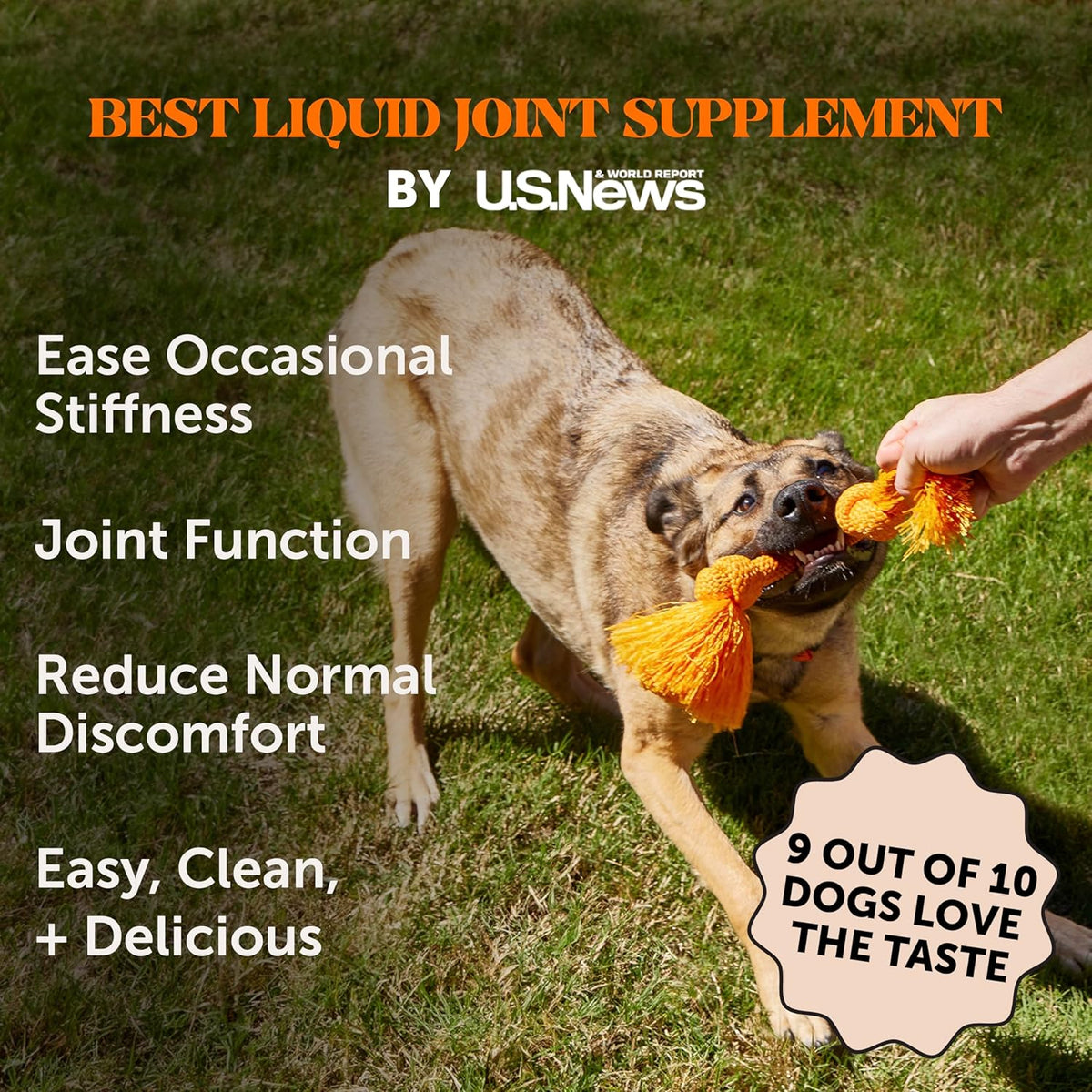 Dog Joint Supplement with Salmon Oil for Dogs - Ease Stiffness, Reduce Discomfort & Support Joint