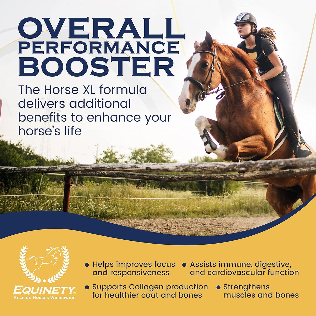 100-Day Supply Horse XL Supplements – Horse Care Weight Gain Supplement W/ 8 Amino Acids - No Soy