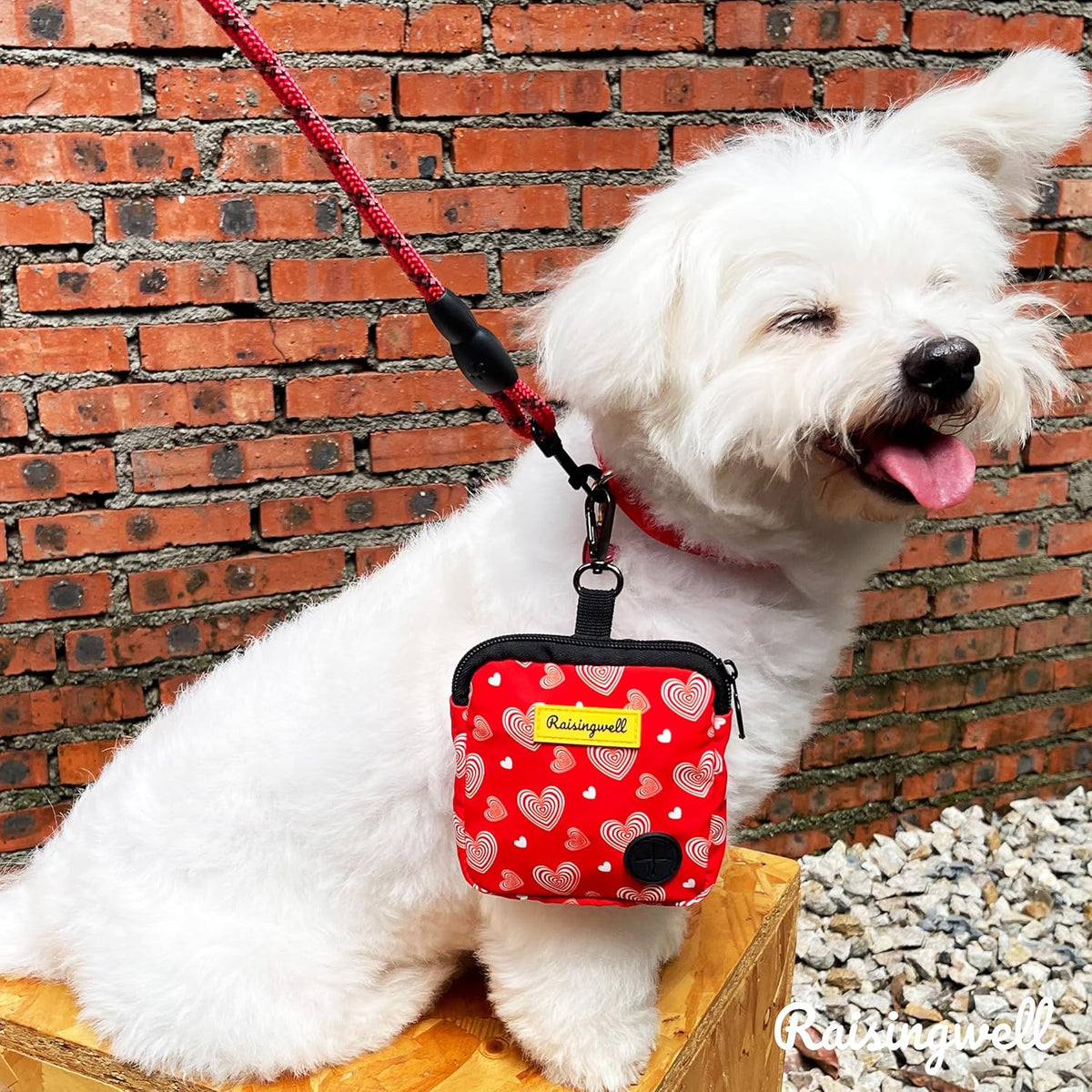 Dog Treat Pouch for Pet Walking and Training with Clicker Poop Bags Small Fanny Zipper Pack Holder