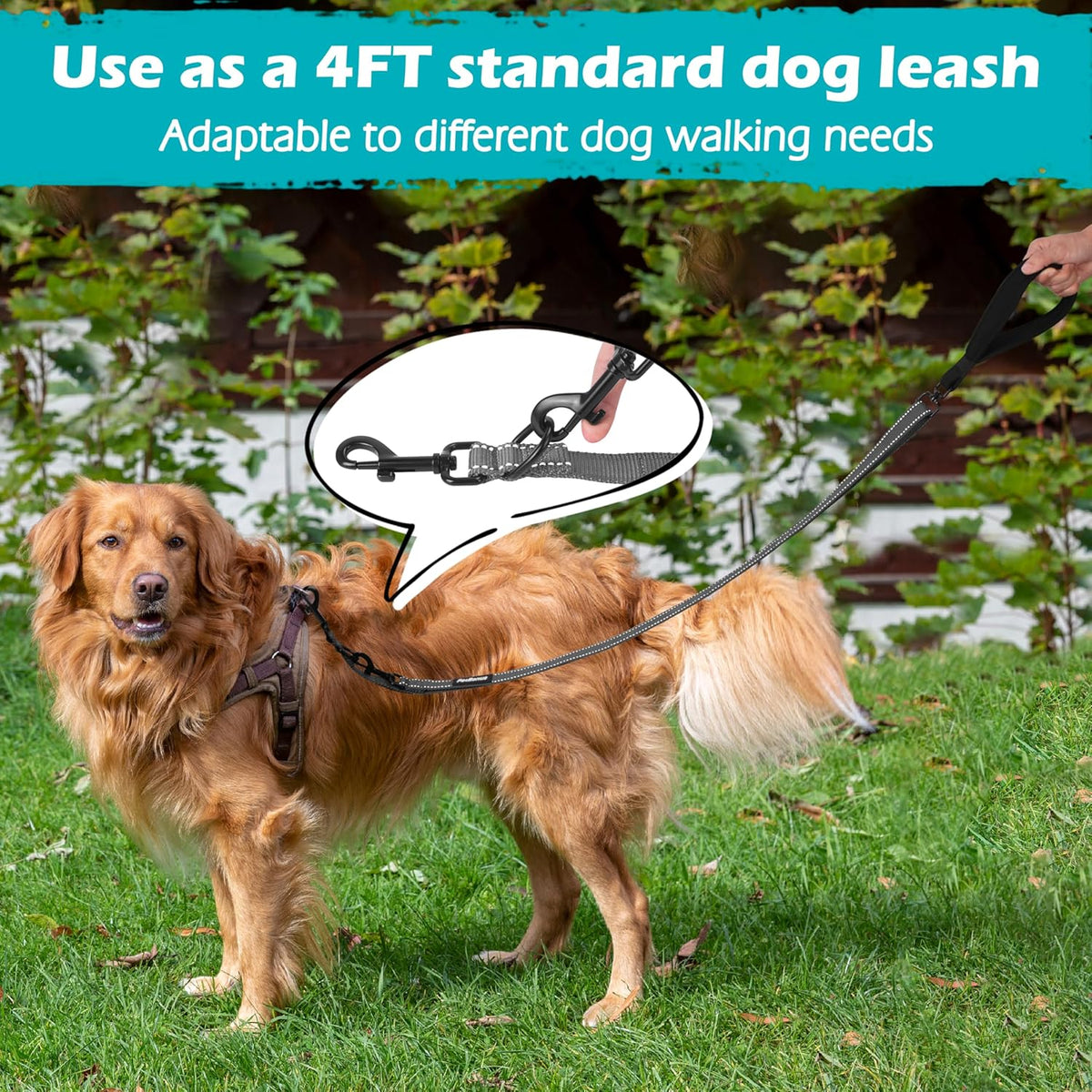 PetBonus Two Point Control Dog Leash, Works with No Pull Harnesses, No Tangle Dog Training Leashes