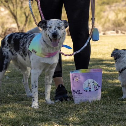 Bundle x Joy Ride & Vibe Dog Treats, Wild Caught Salmon Jerky, Snack Bars, Puppy Training Treats