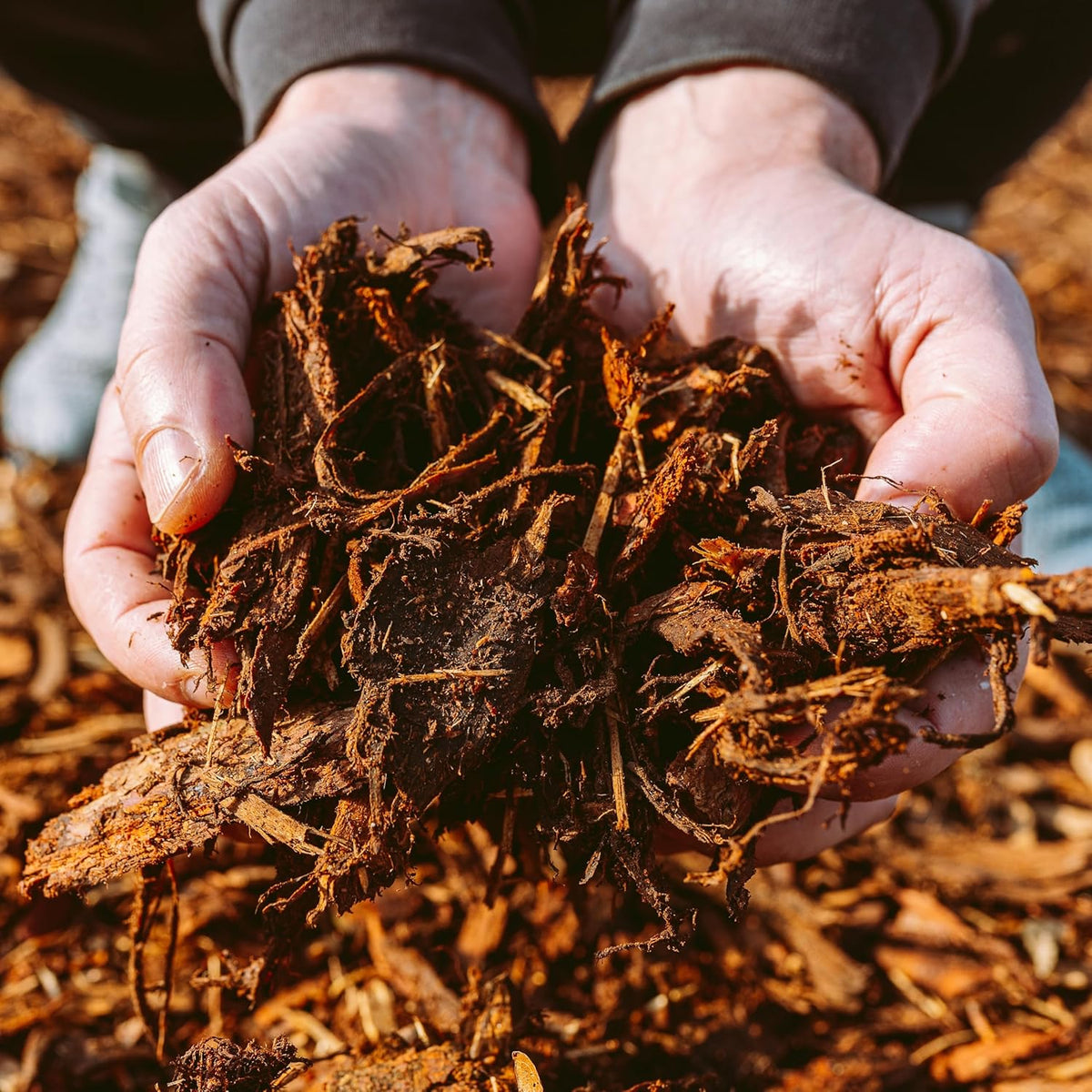 Premium Cypress Mulch for Landscaping, Gardens, Lawns, Reptile Bedding, and Potted Plants (1 CF