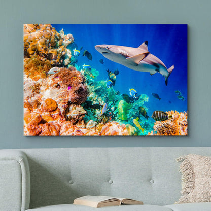 wall26 Canvas Print Wall Art Shark Fish Multicolor Coral Reef Ocean Sea Nature Animals Photography