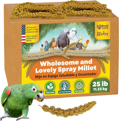 Birds LOVE Wholesome & Lovely Spray Millet | GMO Free (No Stems Only Edible Tops) for Parrots Birds