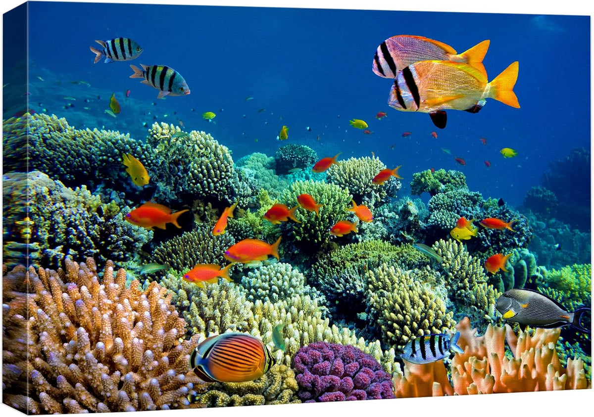 wall26 Canvas Print Wall Art Vibrant Coral Reef Underwater Panorama Nature Animals Photography