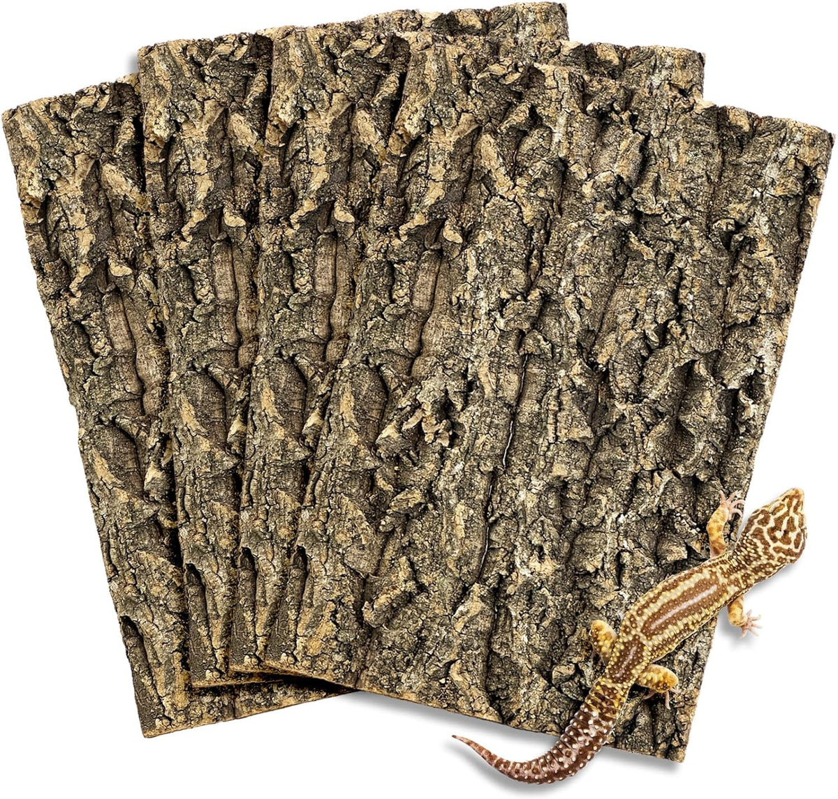 Fhiny 4 PCS Cork Bark Background, 11.6" x 7.7" Natural Cork Bark for Reptiles Bearded Dragon