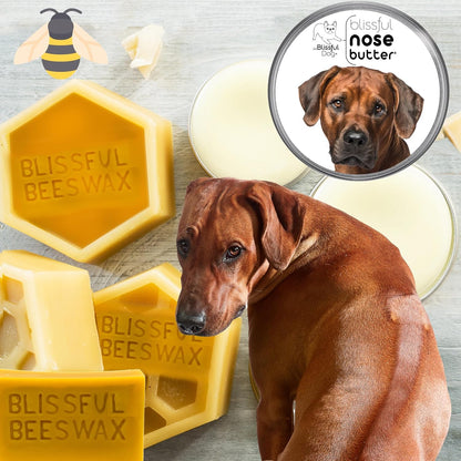 The Blissful Dog Rhodesian Ridgeback Nose Butter for Dry, Cracked Skin, Lick-Safe Dog Nose Balm