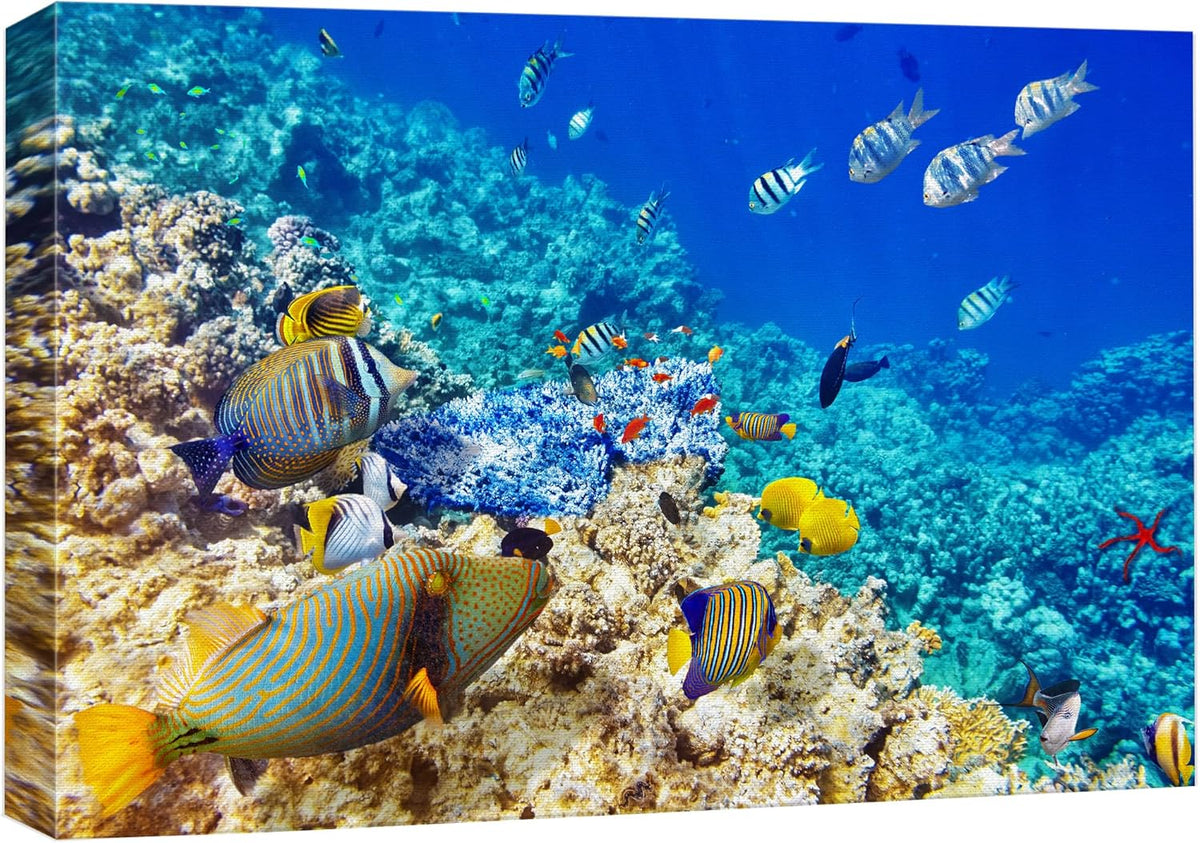 wall26 Canvas Print Wall Art Underwater Neon Blue Teal Ocean Water Fish Nature Animals Photography