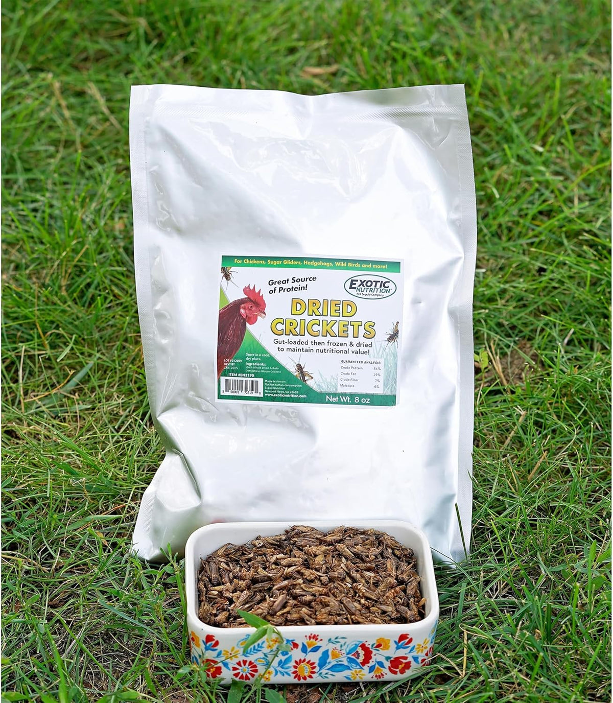 1 Pound Dried Crickets - High Protein Insect Treat - Chickens, Wild Birds, Hedgehogs, Bluebirds