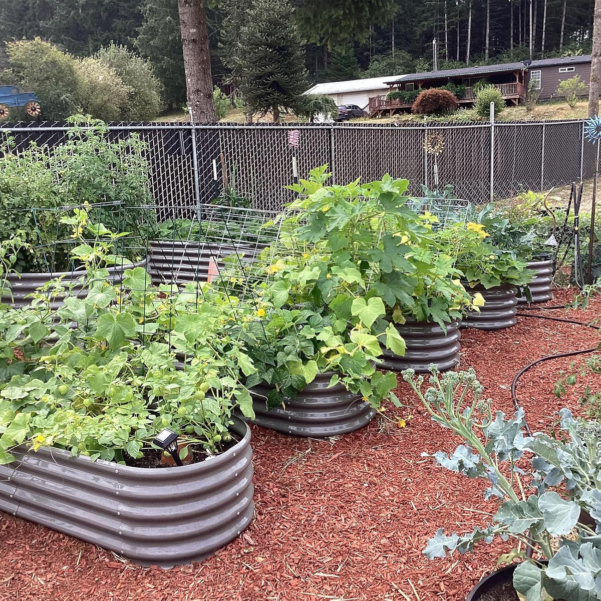 A ANLEOLIFE 6X2X1.5 ft Galvanized Raised Garden Beds Outdoor, Oval Round Metal Planter Box for