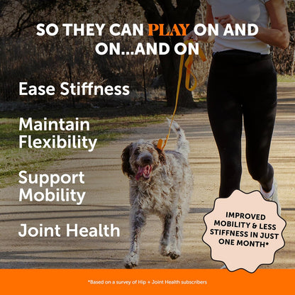 Hip & Joint Health - Dog Joint Supplement Support for Dogs with Glucosamine Chondroitin, MSM