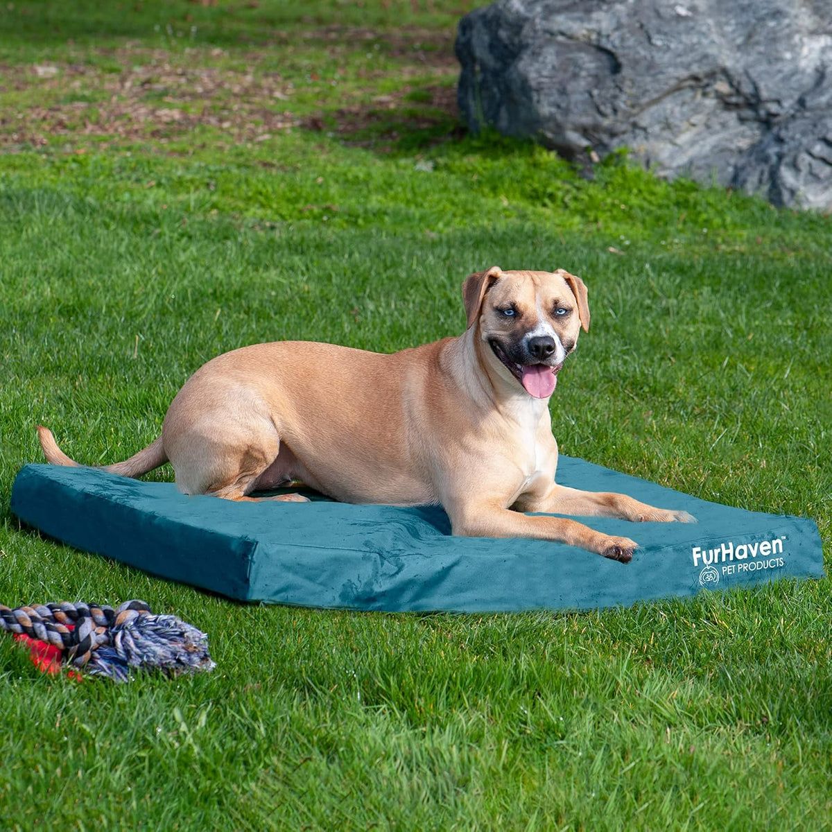 Furhaven Water-Resistant Cooling Gel Dog Bed for Large/Medium Dogs w/ Removable Washable Cover, For