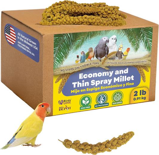 Birds LOVE Economy & Thin Special Spray Millet GMO-Free (No Stems Only Edible Tops) for Birds