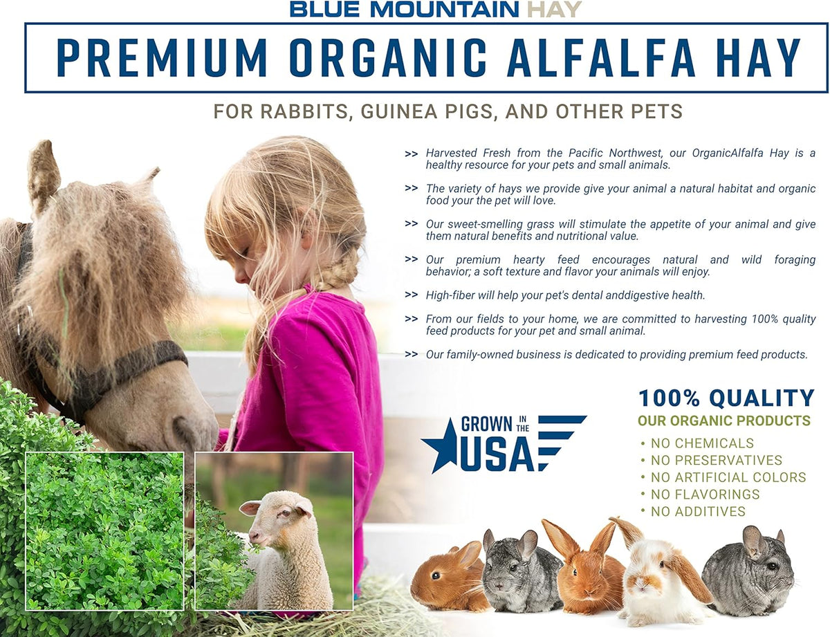 Blue Mountain Hay High-Altitude Hay - Organic Alfalfa, 25lb - High Protein, Fiber & Mineral-Rich