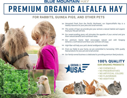 Blue Mountain Hay High-Altitude Hay - Organic Alfalfa, 5lb - High Protein, Fiber & Mineral-Rich