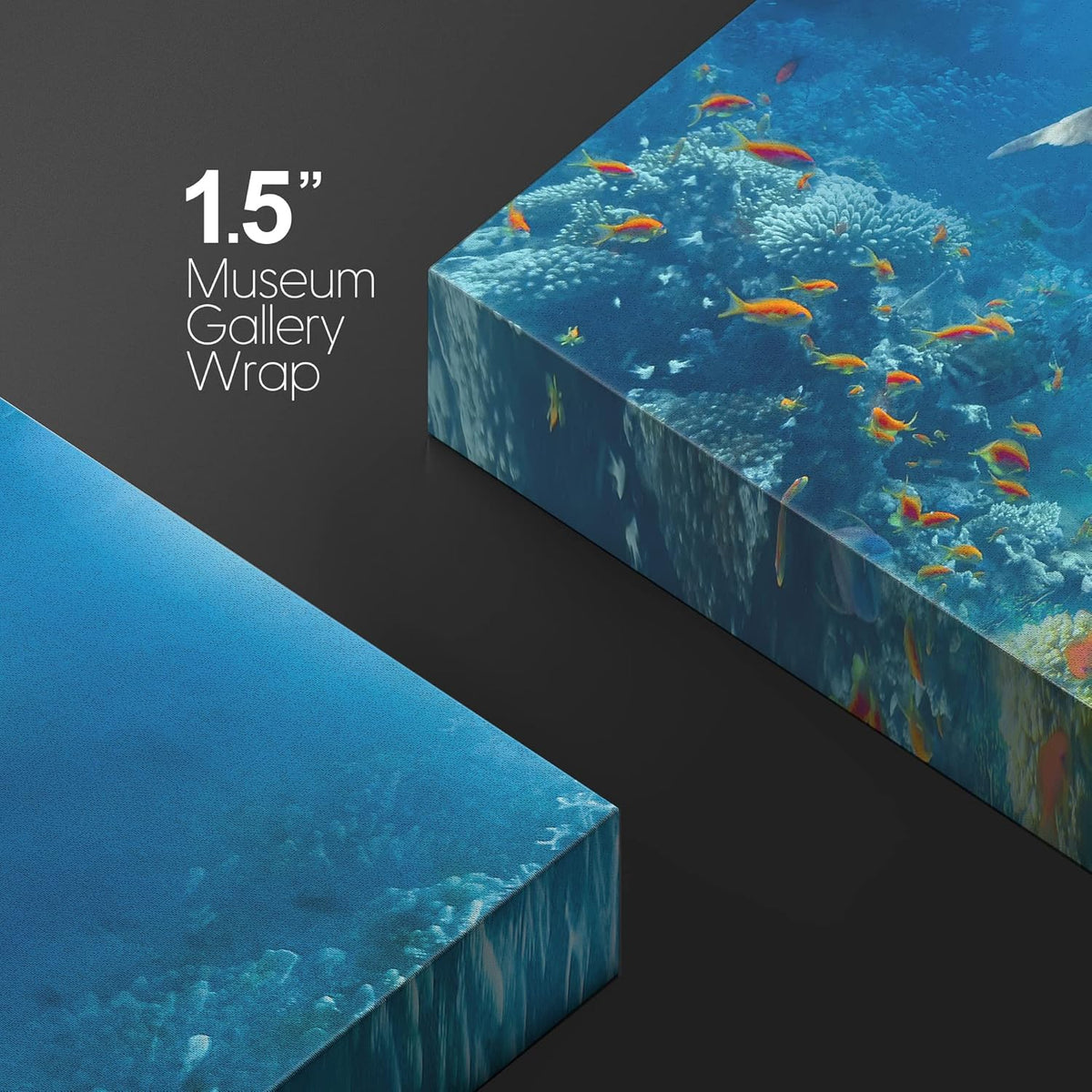 wall26 Canvas Print Wall Art Tropical Ocean Underwater Dolphin Coral Reef Nature Animals