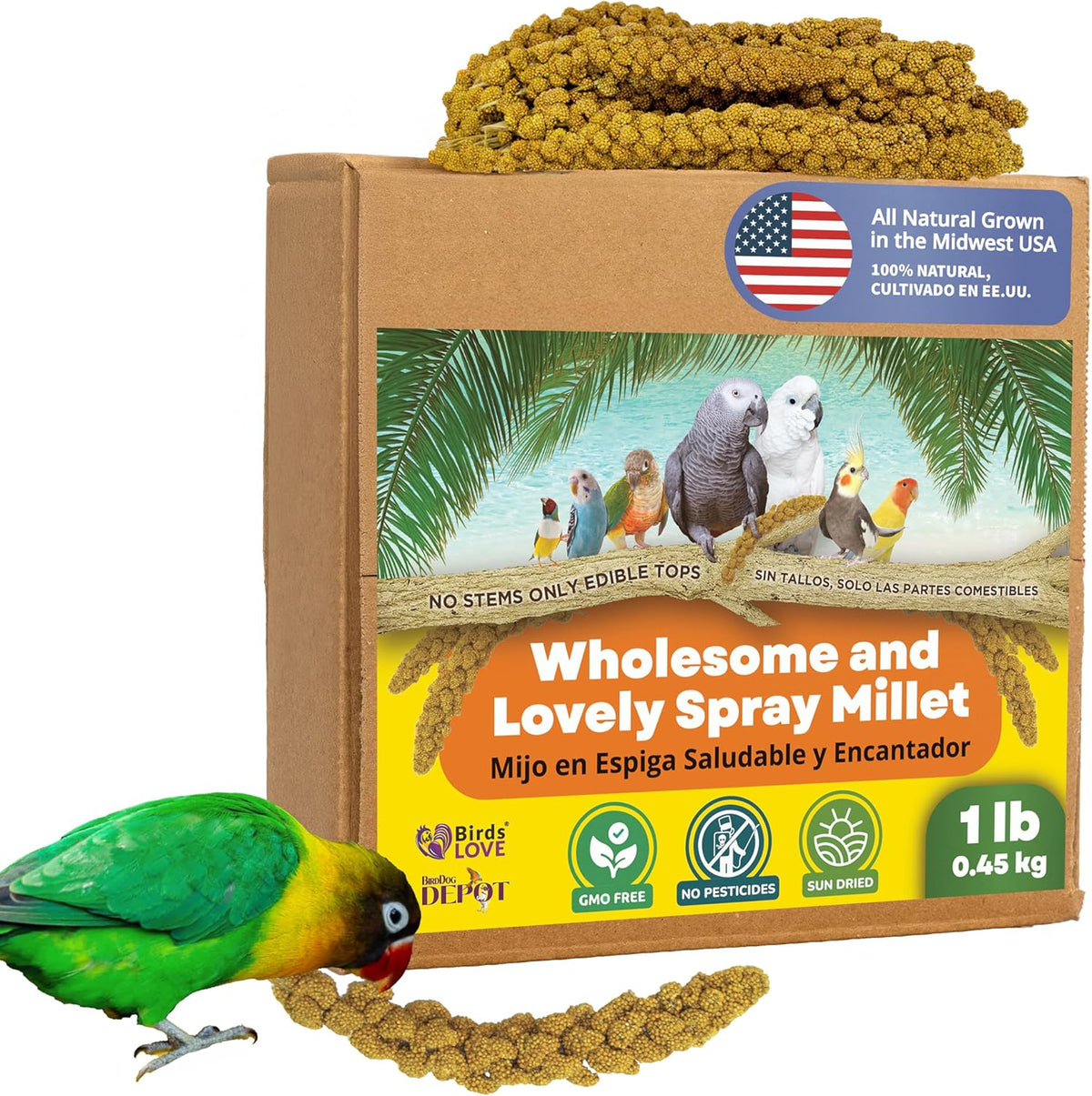 Birds LOVE Spray Millet – 1 lb GMO-Free, No Stems (Edible Tops Only) – Healthy Treat for