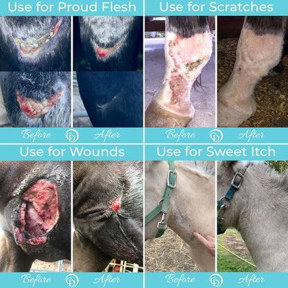 COAT DEFENSE Trouble Spot Drying Paste for Horses - Natural Equine Wound Care That Provides Safe &