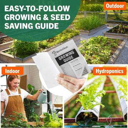 Open Seed Vault 15,000 Non GMO Heirloom Vegetable Seeds for Planting Vegetables and Fruits - 32