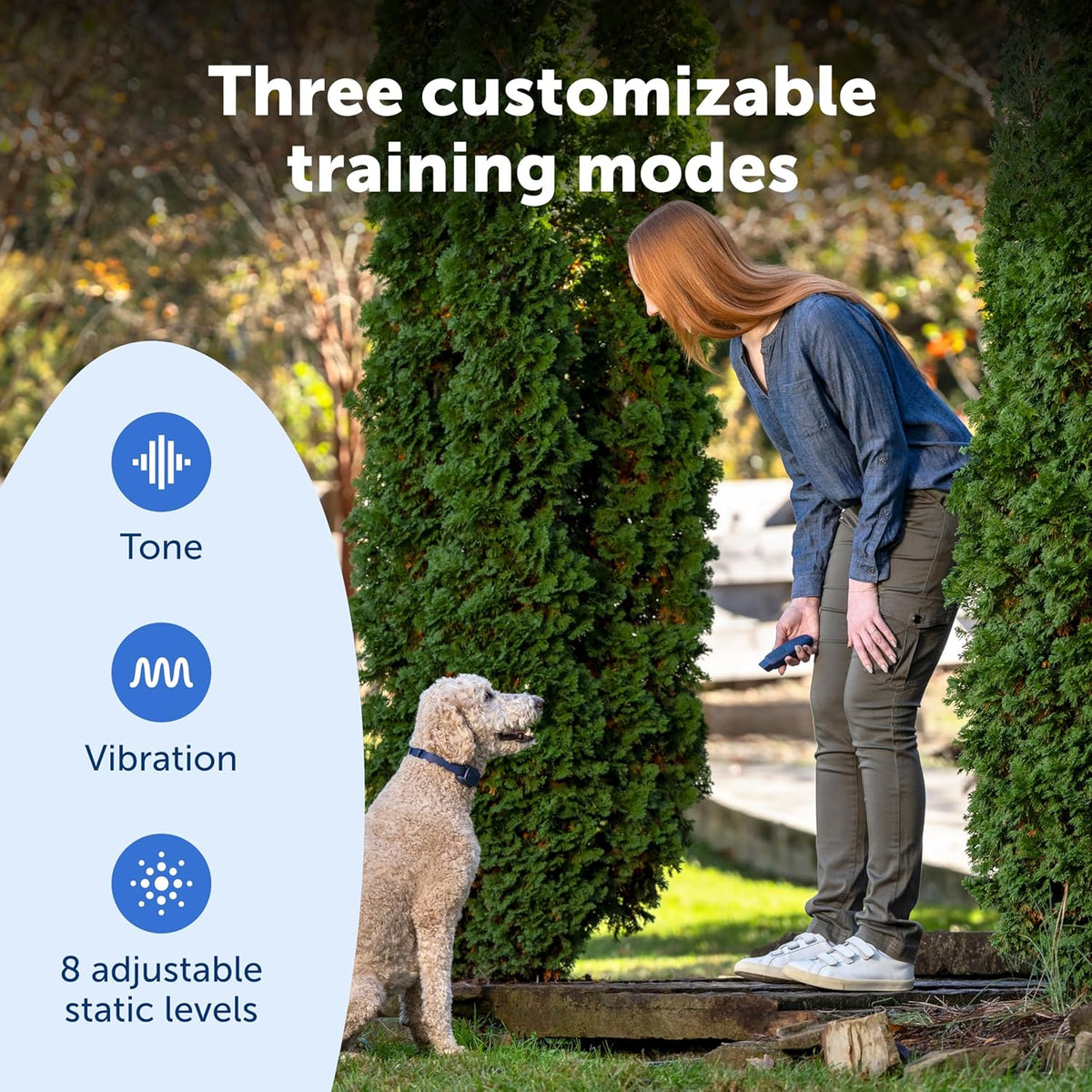 PetSafe Basic Dog Trainer with Remote – Waterproof Training Collar – 300 ft Range – Tone, Vibration