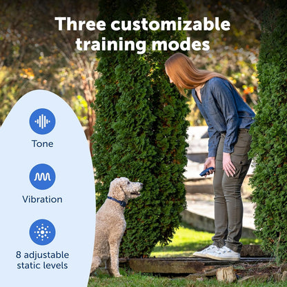 PetSafe Basic Dog Trainer with Remote – Waterproof Training Collar – 300 ft Range – Tone, Vibration