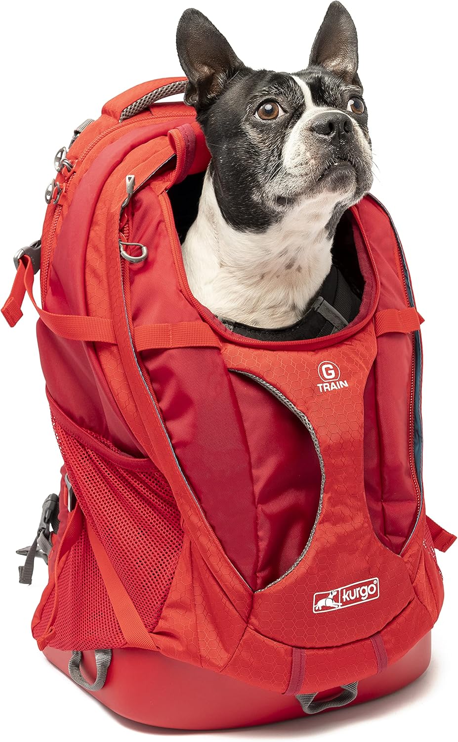 Kurgo G-Train - Dog Carrier Backpack for Small Pets - Cat & Dog Backpack for Hiking, Camping or