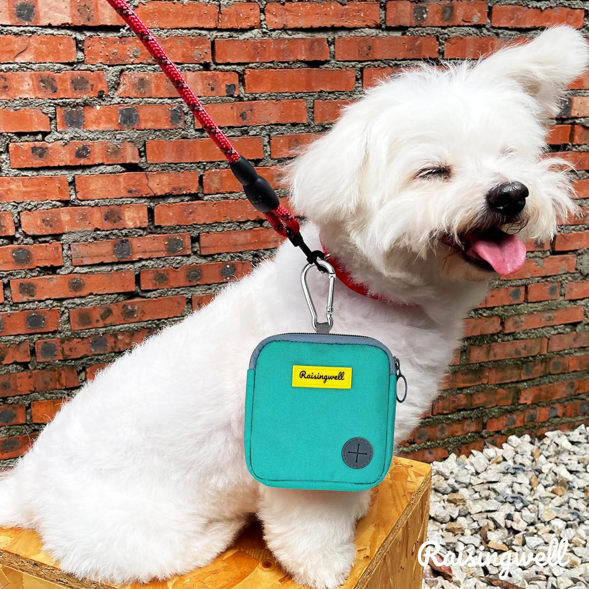 Dog Treat Pouch for Pet Walking and Training with Clicker Poop Bags Small Fanny Zipper Pack Holder