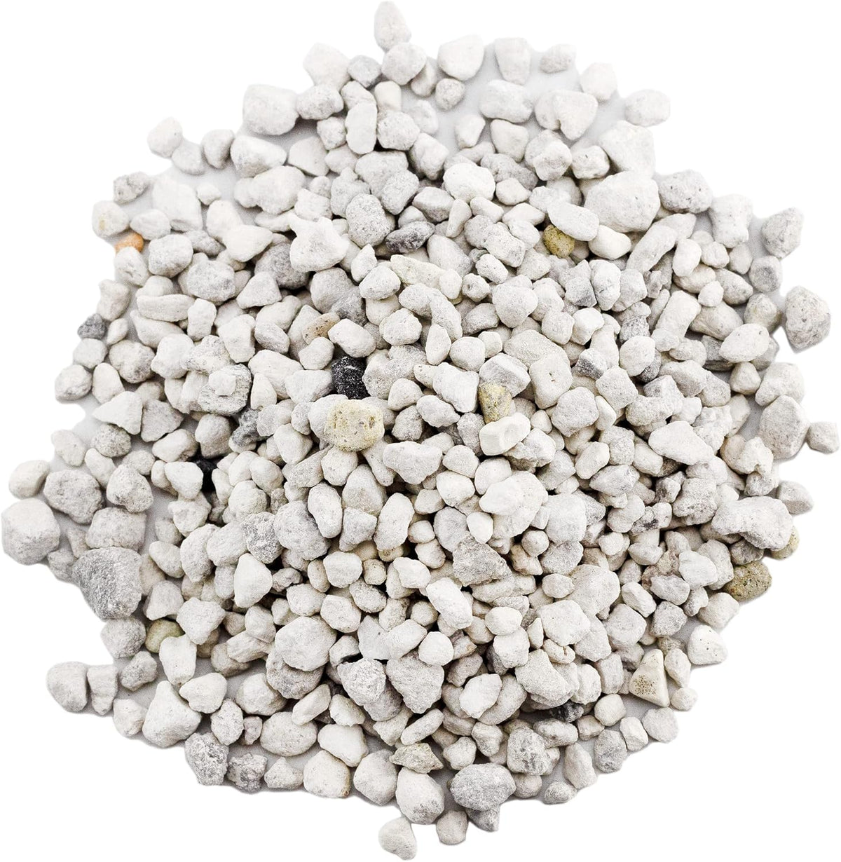 Horticultural Bonsai Pumice Soil Amendment (2 LB), Supplement for Bonsai and Cactus Indoor Plants