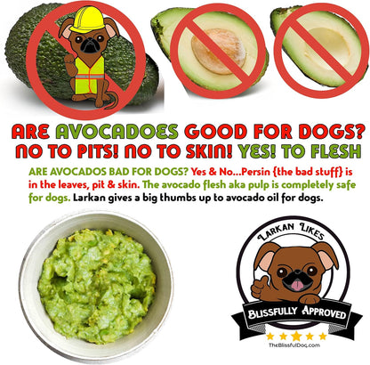 The Blissful Dog Smooth Coat Chihuahua Nose Butter for Dry, Cracked Skin, Lick-Safe Dog Nose Balm
