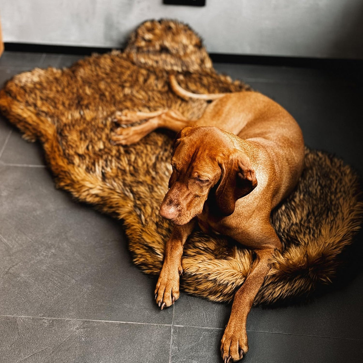 IHAPPYDOG Luxury Faux Fur Orthopedic Dog Bed, Memory Foam Dog Bed for Small, Medium, Large and XL