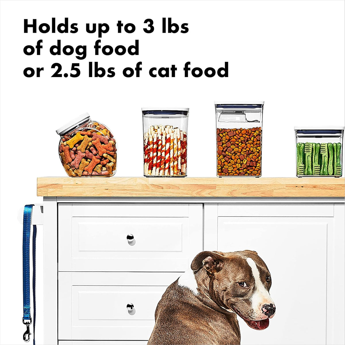 OXO Good Grips Pet POP Container – 3.3 Qt/3.1 L |Ideal for up to 3lbs of Dog Food or 2.5lbs of Cat