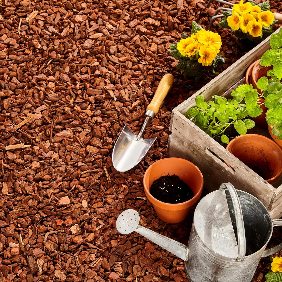 Premium Pine Bark Nuggets – Pine Bark Mulch for Gardens, Landscaping, Potted Plants, and Wood Chips