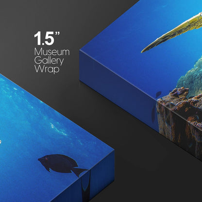 wall26 Canvas Print Wall Art Vibrant Ocean Underwater Swimming Turtle Nature Animals Photography