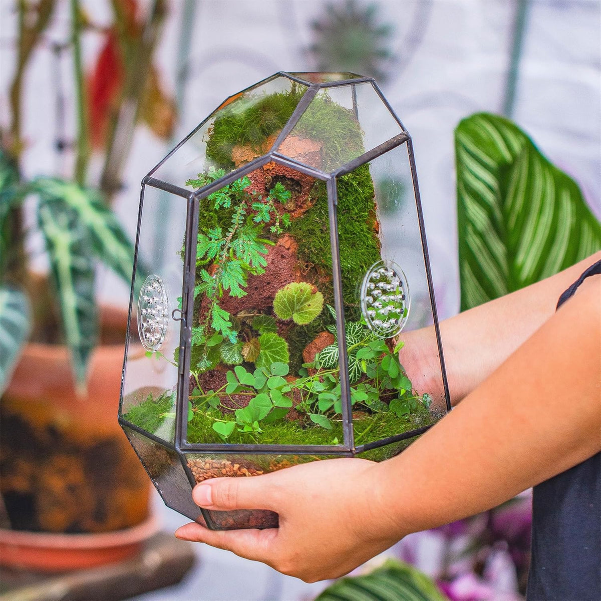 NCYP Closed Geometric Glass Enclosure with Front Opening Door & 2 Vent Holes for Insects