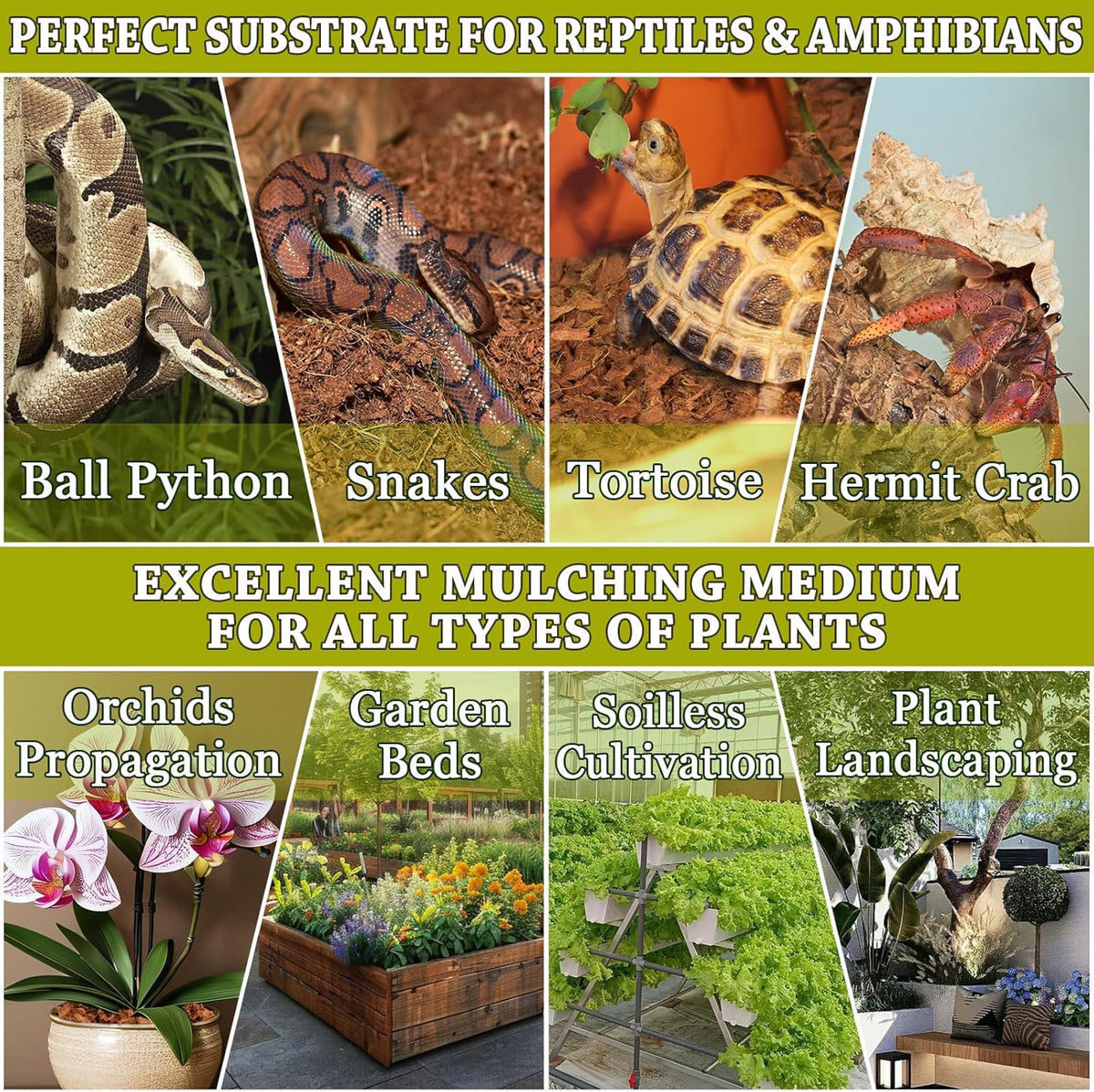 ZeeDix Natural Coconut Chips Substrate for Reptiles, Coconut Fiber Husk Reptiles Bedding