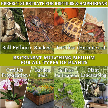 ZeeDix Natural Coconut Chips Substrate for Reptiles, Coconut Fiber Husk Reptiles Bedding