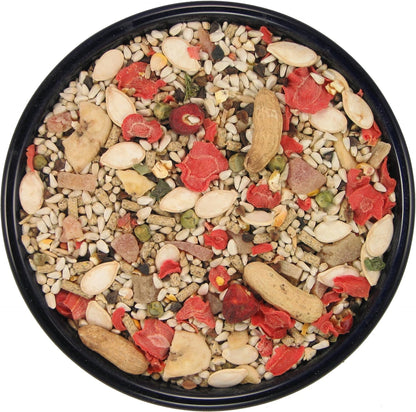 SLEEK & SASSY Garden Large Hookbill No Sunflower Parrot Food for Large Conures, Amazons, African