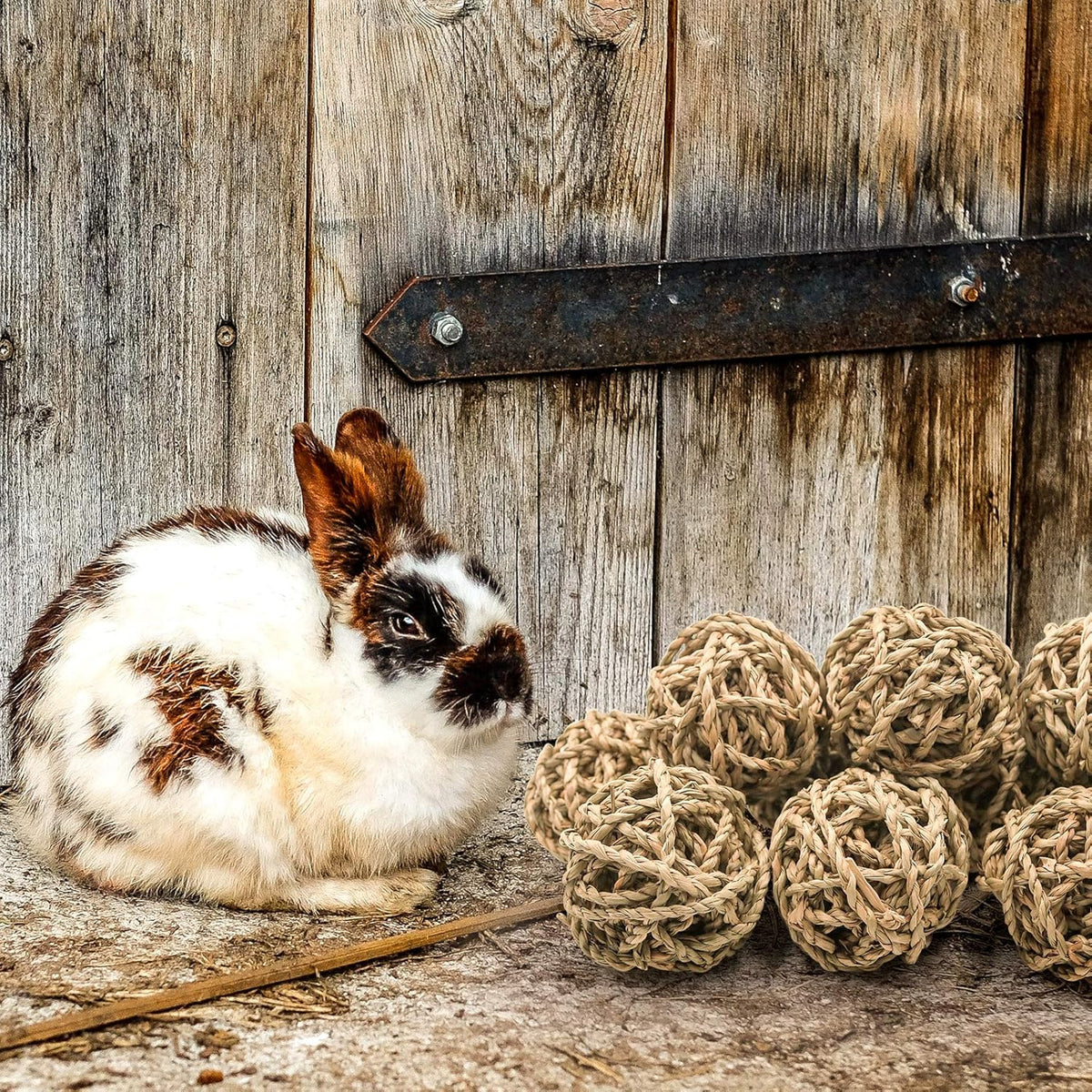 10 Pcs Small Animals Play Balls Rolling Activity Chew Toys Gnawing Treats for Rabbits Guinea Pigs