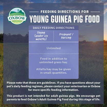 Oxbow Garden Select Guinea Pig Food, Young, Made Alfalfa for Guinea Pig, Pet Food Pellets with