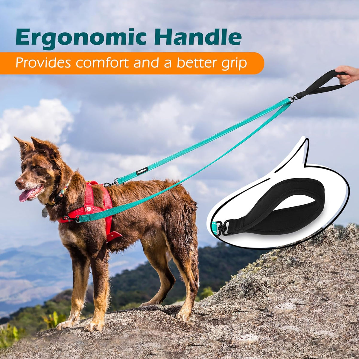PetBonus Two Point Control Dog Leash, Works with No Pull Harnesses, No Tangle Dog Training Leashes